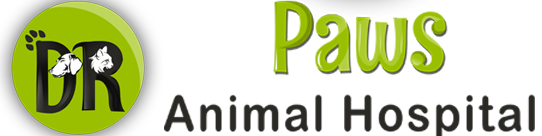 Dr Paws Animal Hospital